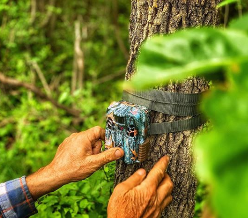 trail cameras for hunting