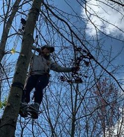 climbing tree stand for big guys