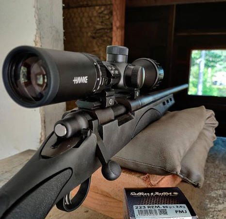 best scope for ruger 10/22 takedown