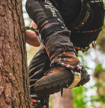 climbing spurs for hunting