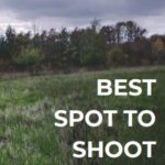 Best Spot To Shoot A Deer [Complete Guide]