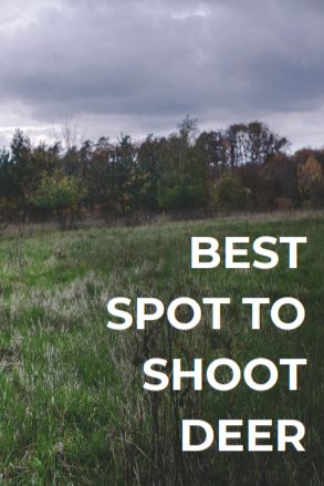 best spot to shoot deer main image