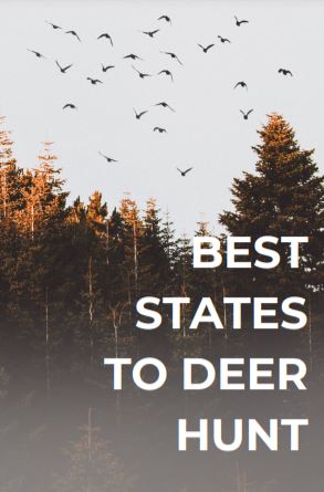 best deer hunting states main image