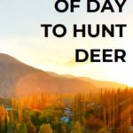 Best Time Of Day To Hunt Deer