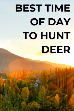 best time of day to hunt deer main image
